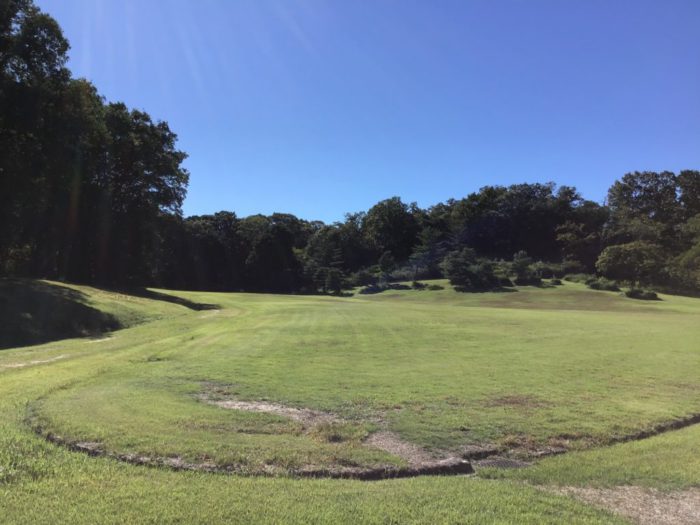明日のお出かけヨガの情報です★彡